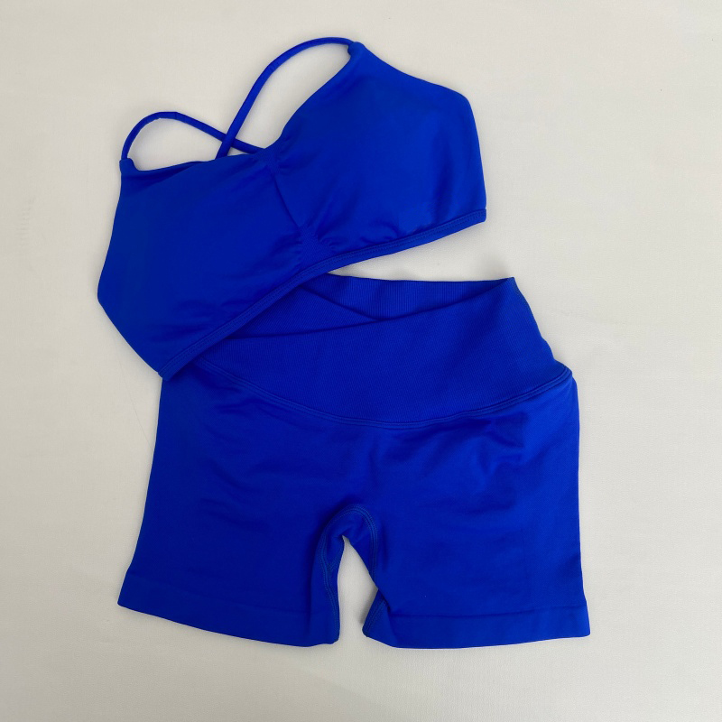 Conjunto Deportivo de Alta Ela - Pilates Yoga Set reseña y precio