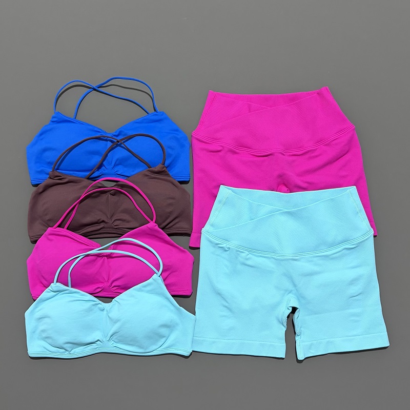Conjunto de gimnasio de visión - Pilates Yoga Set reseña y precio