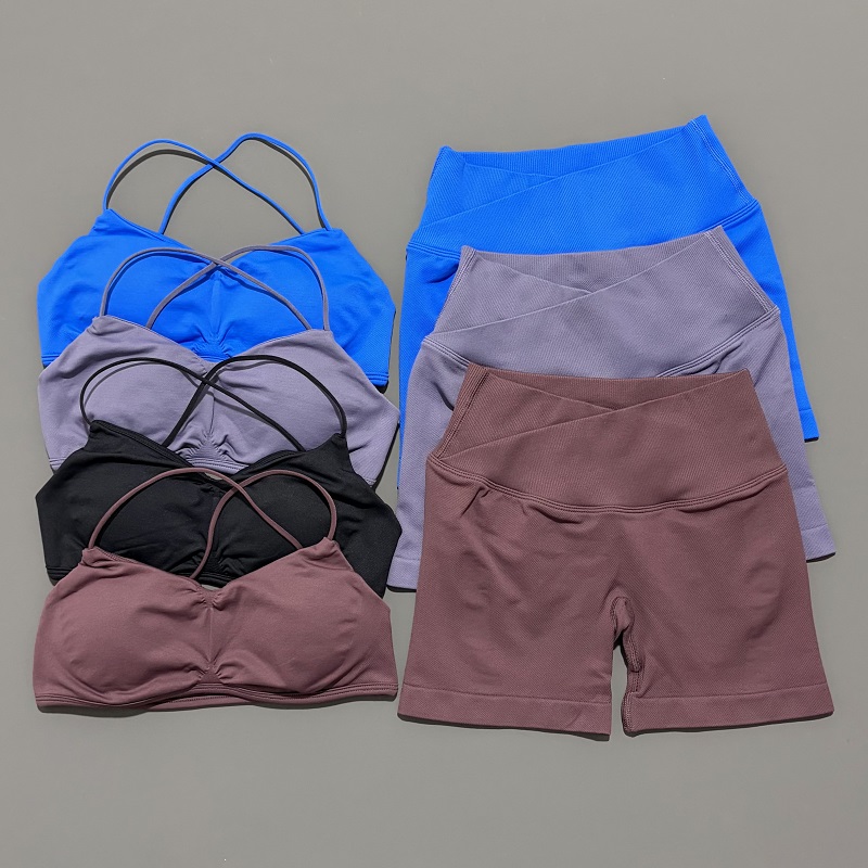 Conjunto de gimnasio de visión - Pilates Yoga Set reseña y precio